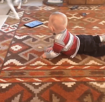 爬在地上的小朋友被自家的狗狗撞翻了