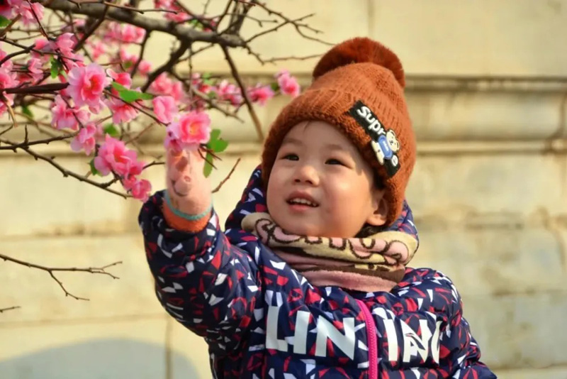 喜欢小红花的可爱小朋友