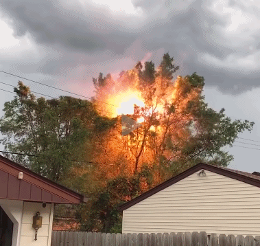 树枝上边的高压线起火，太吓人了