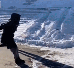 在北方的朋友才能体会到的扑到雪堆里的乐趣