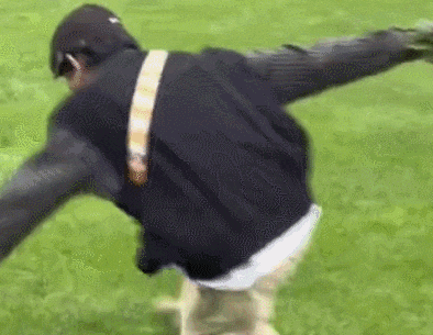 下坡太急一路摔跟头，没有一步是自愿的