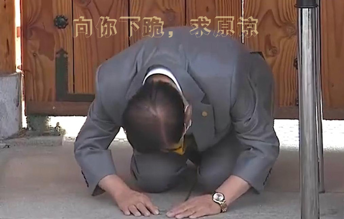 我在这里向你下跪了，求你原谅
