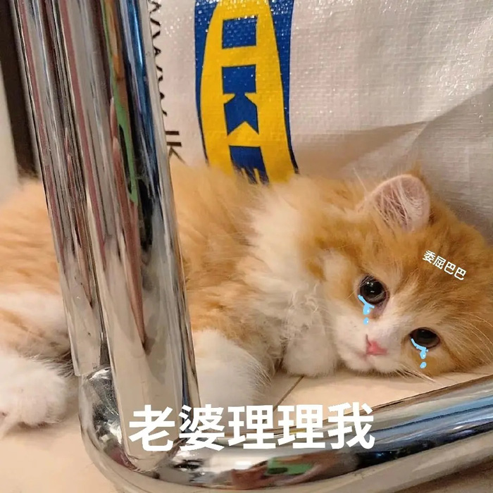 老婆快理理我吧！我好委屈哦