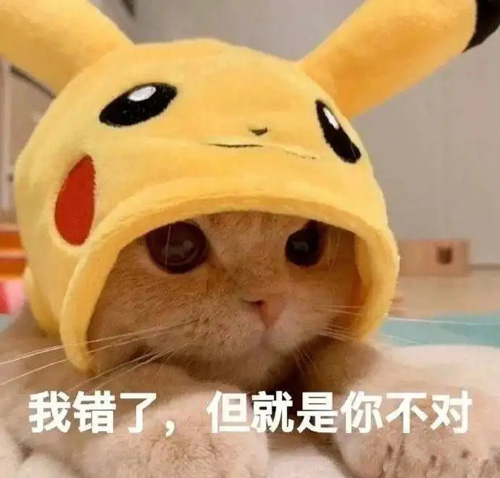 我知错了，但还是你的不对