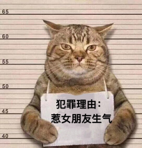 我犯罪了，犯罪理由是惹女朋友生气