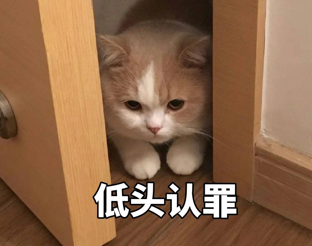 小猫咪爬在门边低头认罪