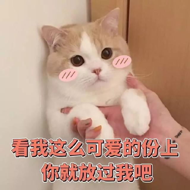 你看我这么可爱，你就原谅我了吧