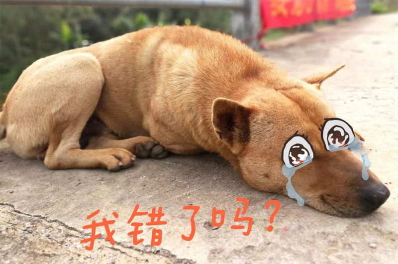 我错了吗？心里好委屈