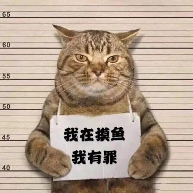 我承认我在摸鱼，我有罪
