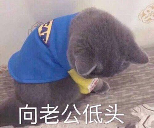 迫于压力，今天向老公低头