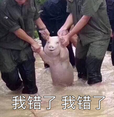 猪猪知错了，别把我拖走啊