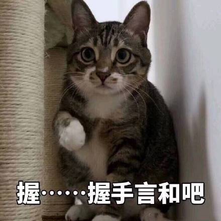 别生气了，来个握手言和吧
