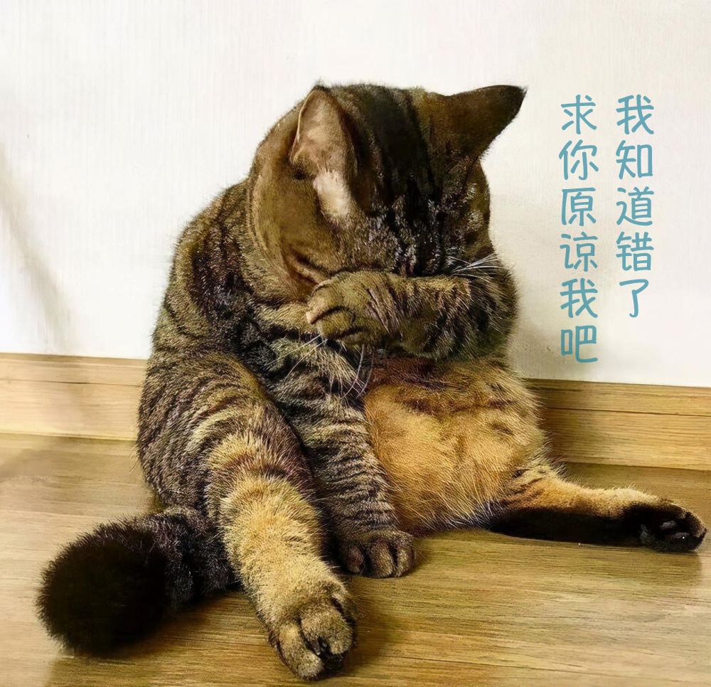 我真的知道错了，求你原谅我吧