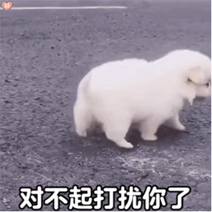 对不起打扰了，我还是走了吧