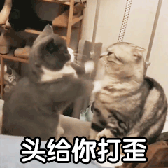 我今天要把你头打歪