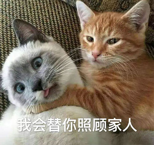 请你放心，我会替你照顾好你的家人