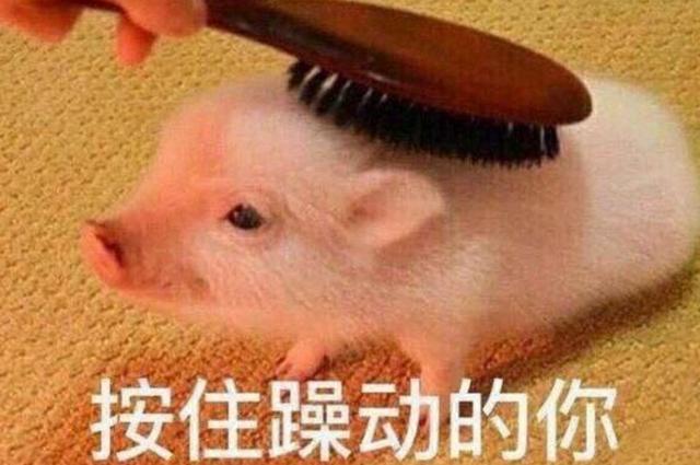 让我来按住躁动的你