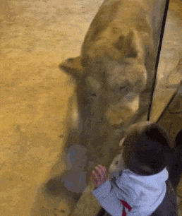 宝宝的内心很强大，就喜欢你想咬我却咬不到我的样子