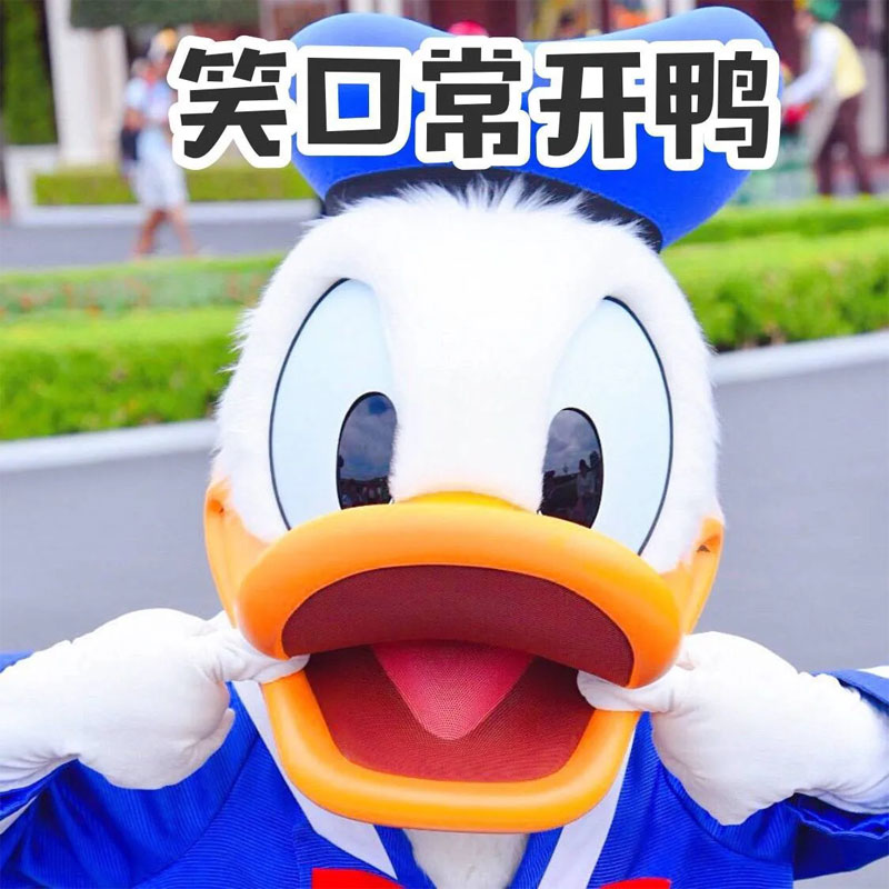 我是一只笑口常开鸭