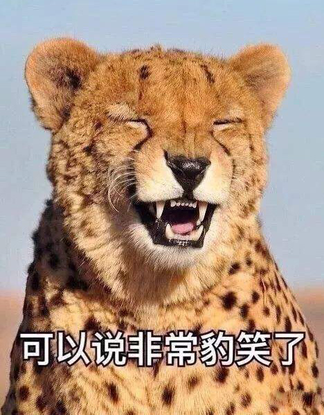 这可以说非常的豹笑了