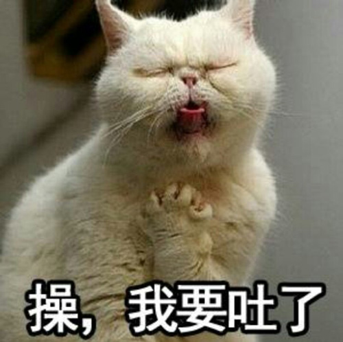 真操蛋，我要吐了啊