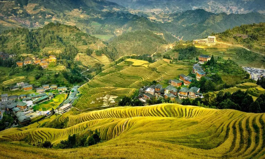 难得一见的梯田风景