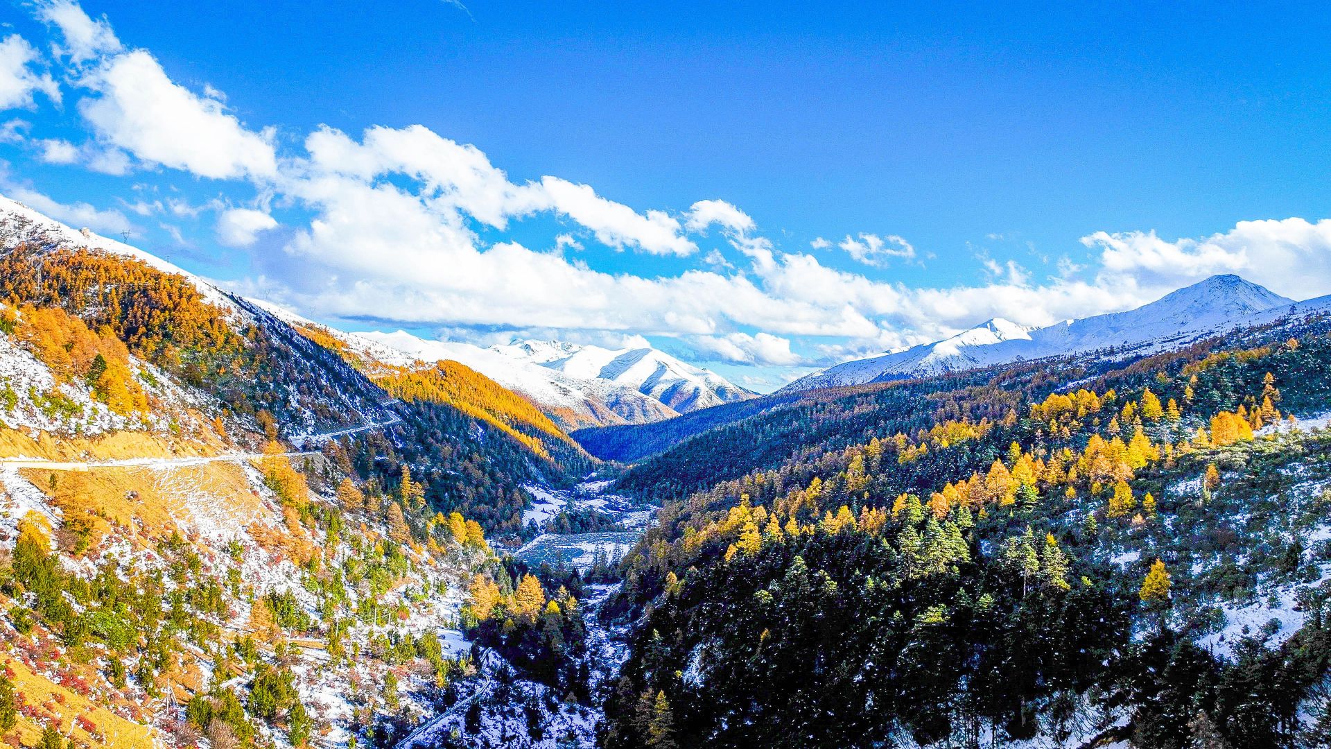 云南白马雪山的漂亮景色