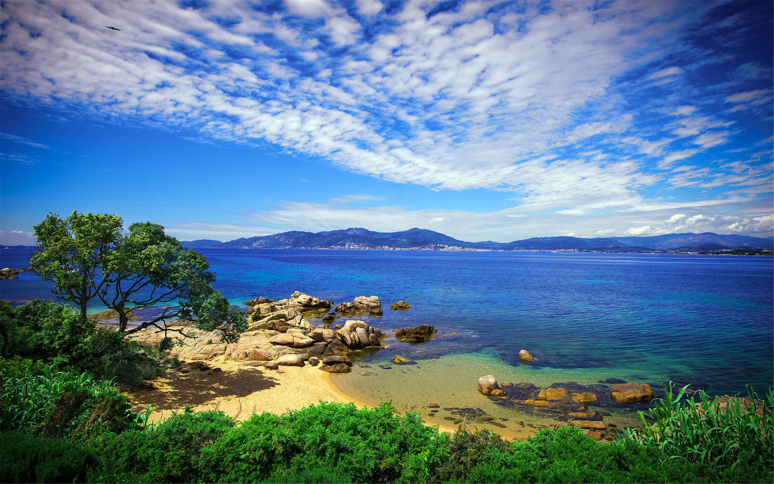 湛蓝天空下的宁静湖景