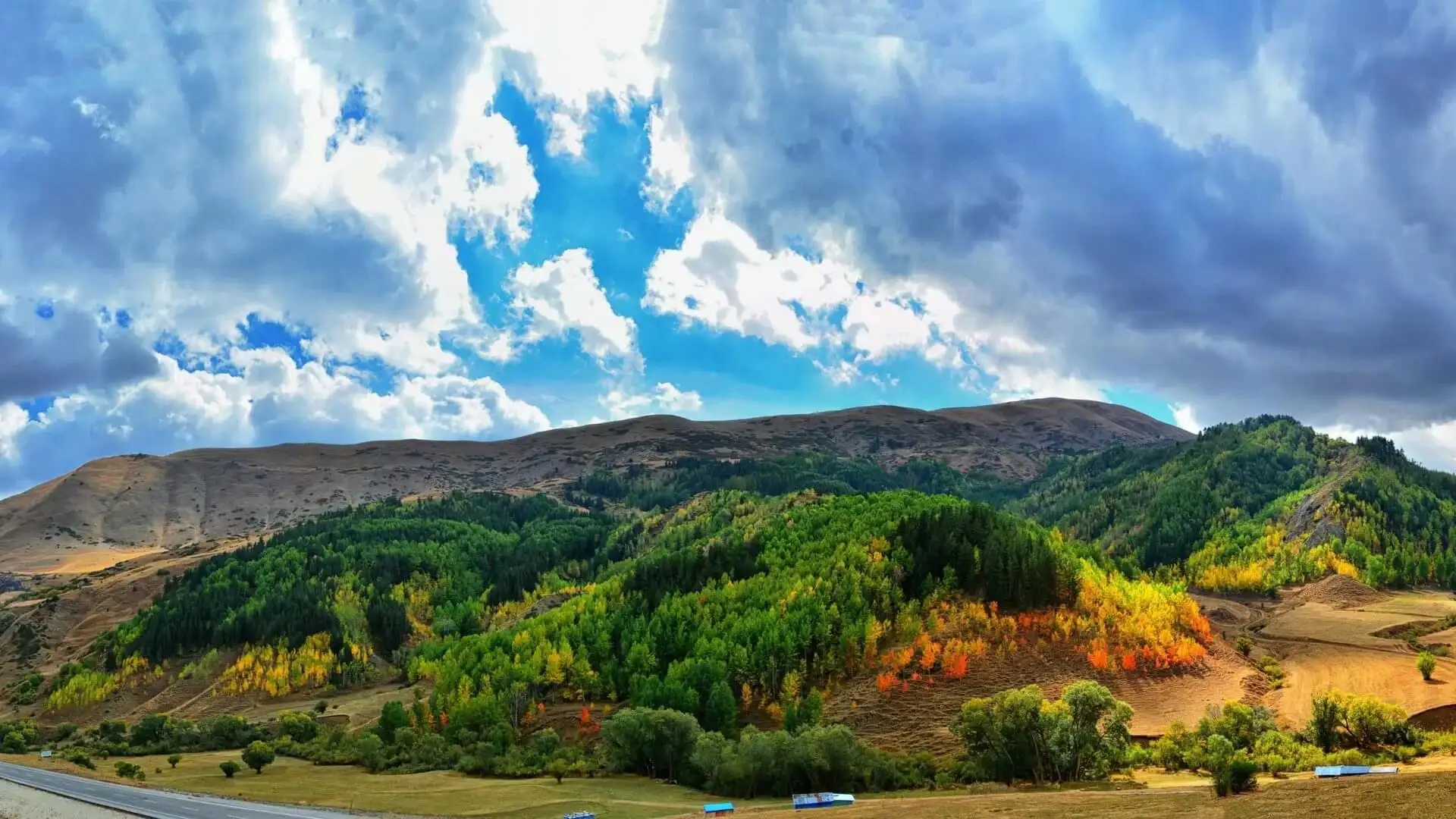 旅拍公路美景