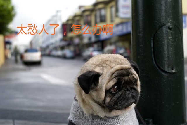 真的是太愁人了，怎么办呐