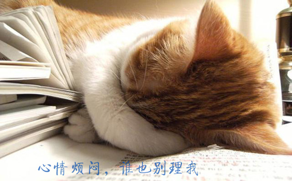 心情真烦闷，你们最好谁也别理我