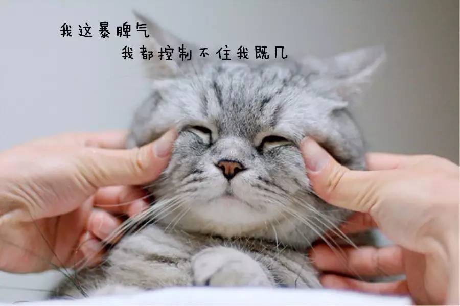 瞧我这暴脾气，我都快控制不住我自己了