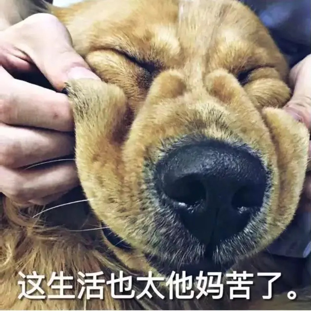 一声叹息！这生活也太他妈的苦了