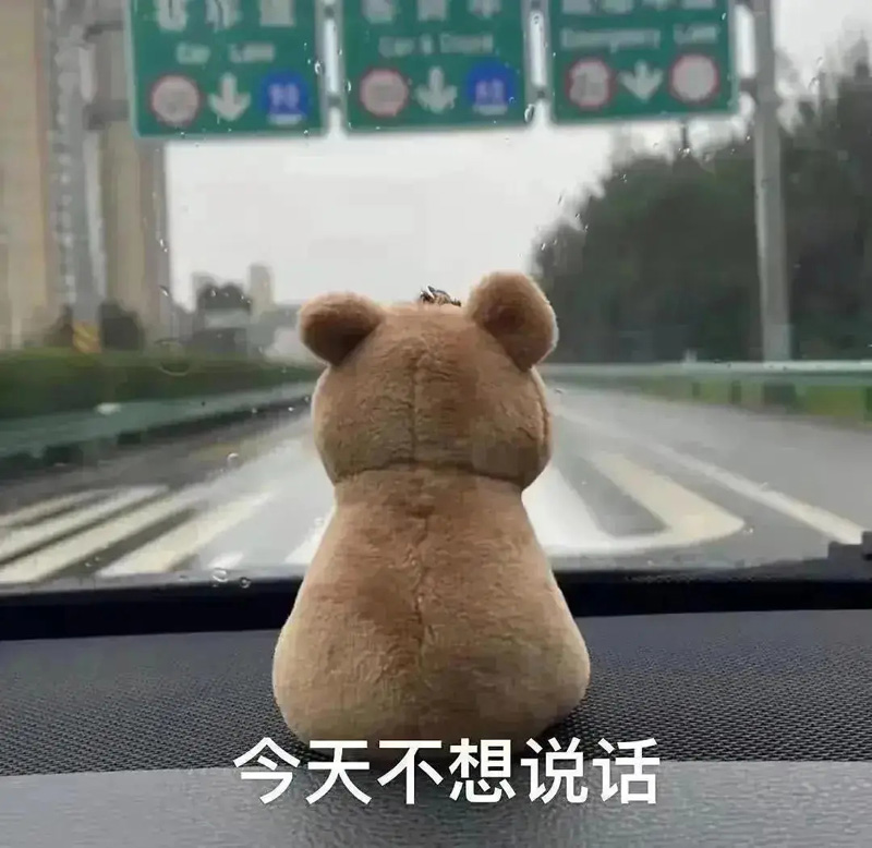 今天的我不想说话，望着远方发呆