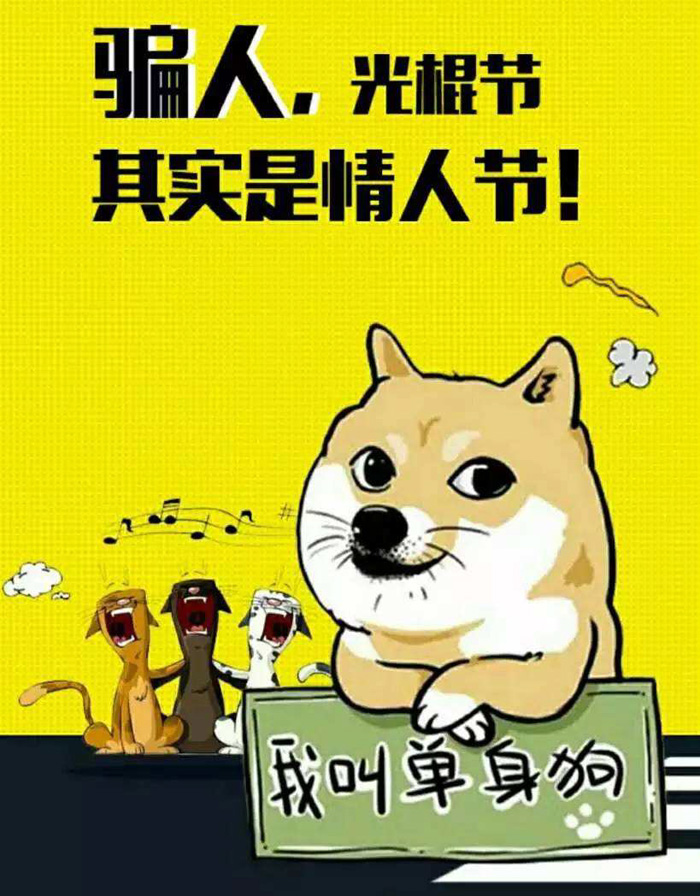 骗人的光棍节，这其实是个情人节啊
