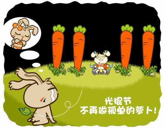 又是一年光棍节，我不再想做孤单的萝卜