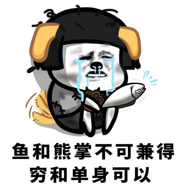 鱼和熊掌不可兼得，穷和单身可以