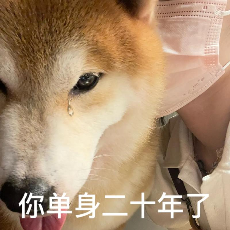 你已经单身二十年了，真伤感啊