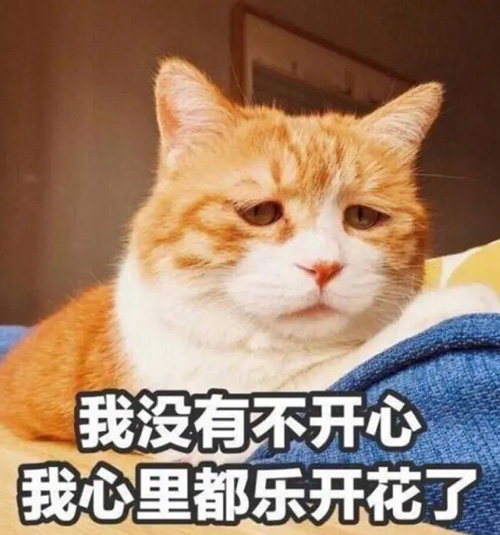 我没有不开心，反而心里乐开了花