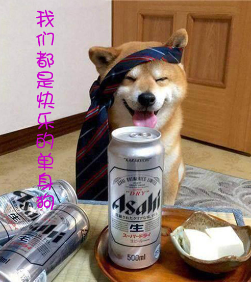 我们都是单身狗，今天一醉方休