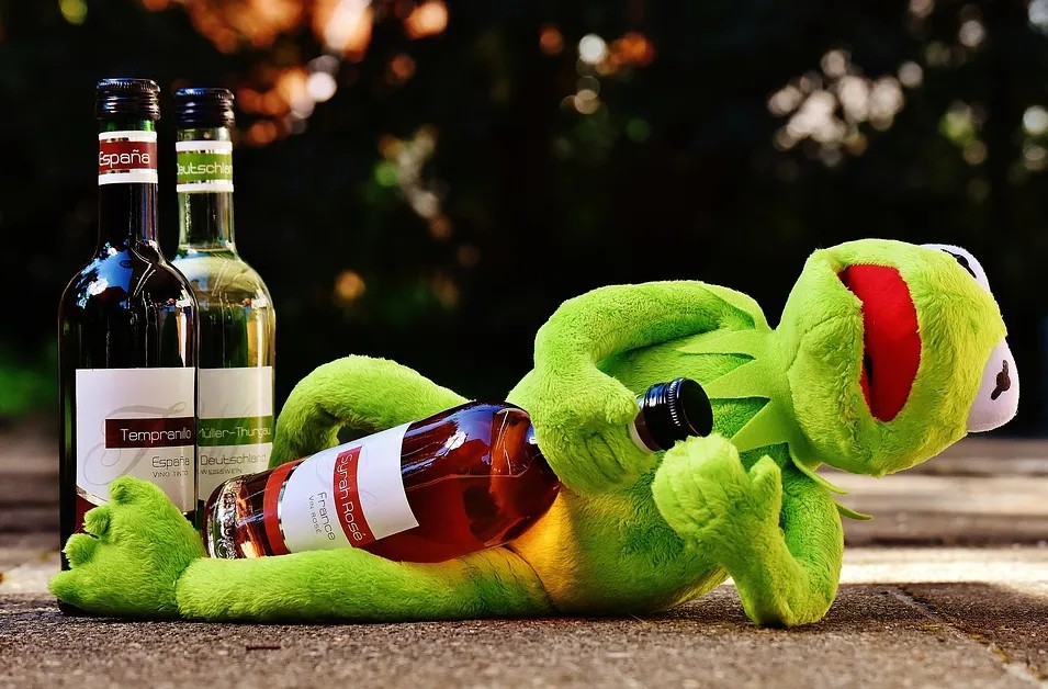小青蛙抱着酒瓶醉倒了