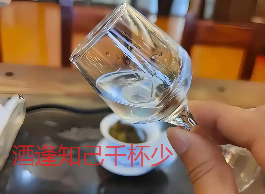 酒逢知己千杯少，话不投机半句多