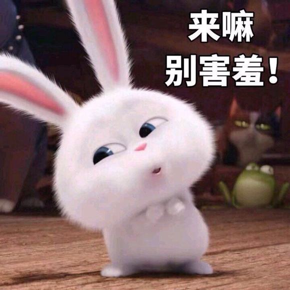 过来玩嘛，别害羞啊