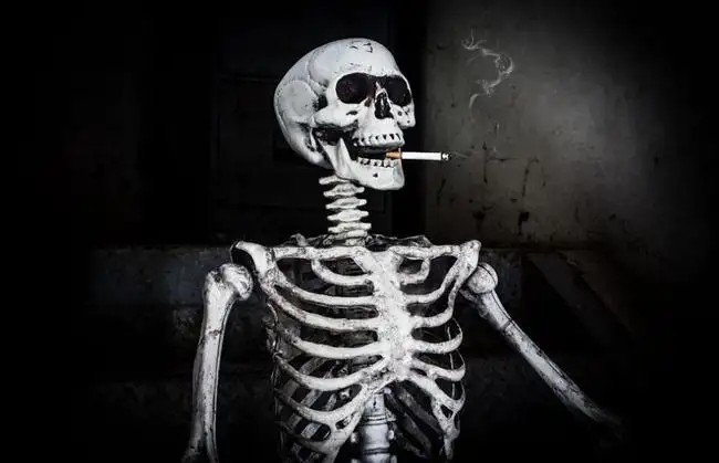 抽烟的骷髅