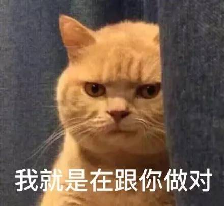 我就是想跟你作对，你想咋样？