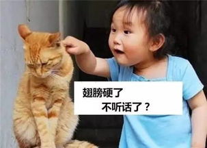 你是不是翅膀硬了？敢不听我的话