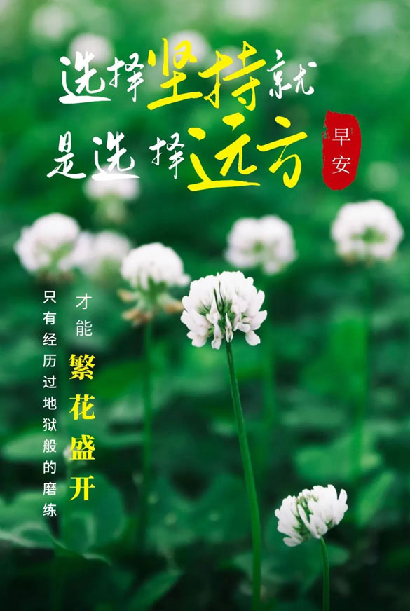 选择坚持就是选择远方