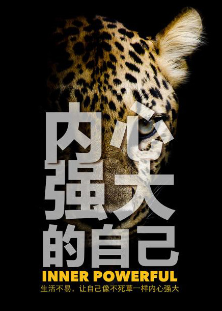 生活不易，要做内心强大的自己