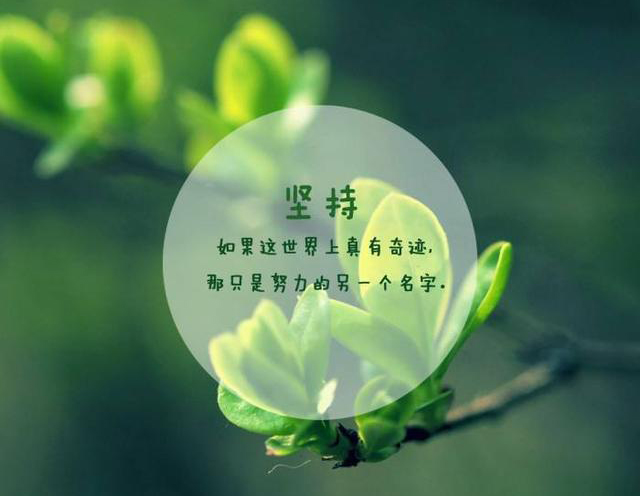如果这世界上真有奇迹，那只不过是努力的另一个名字