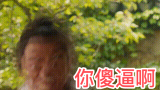 对着人大吼一声，你傻逼啊